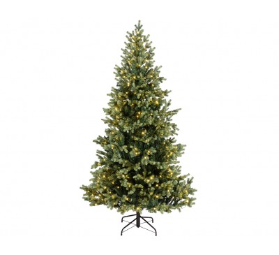 Geneva Fir Prelit 180cm Warm White/Multi